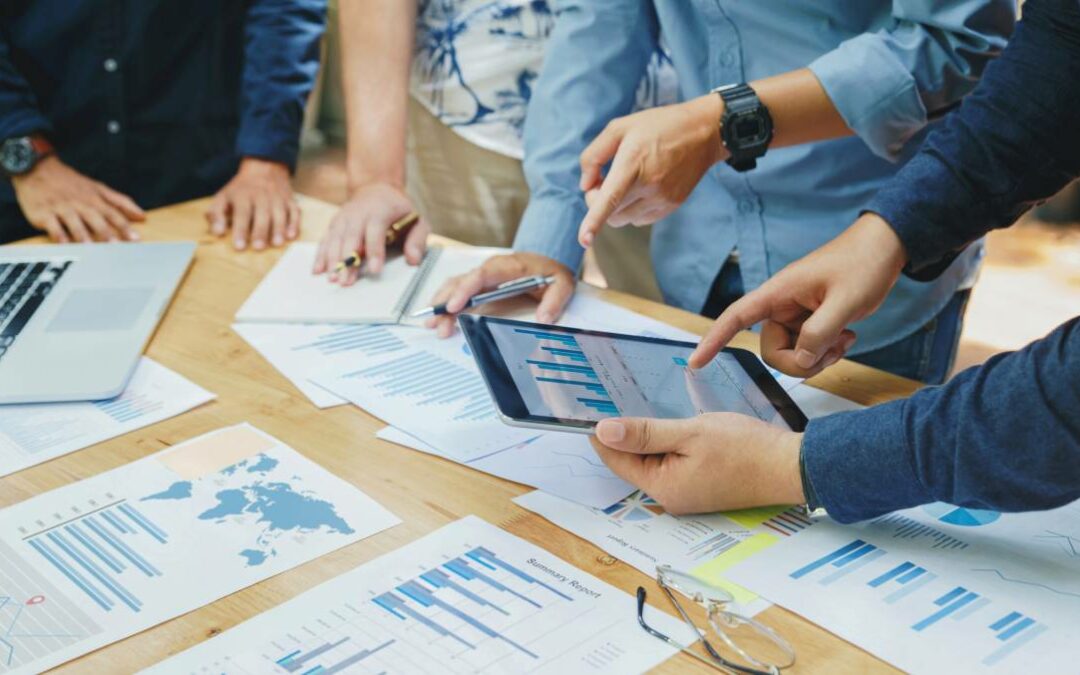 formation seo